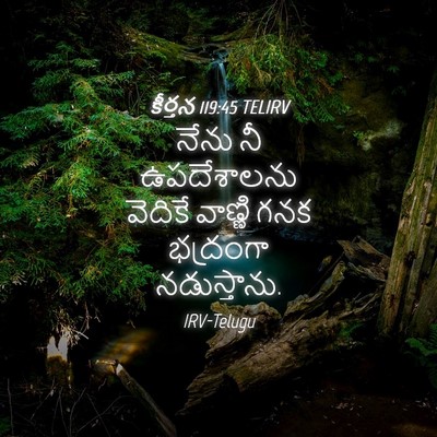 Picture 04 - కీర్తన 119:45 TELIRV - నేను నీ ఉపదేశాలను - Bible Verse Picture