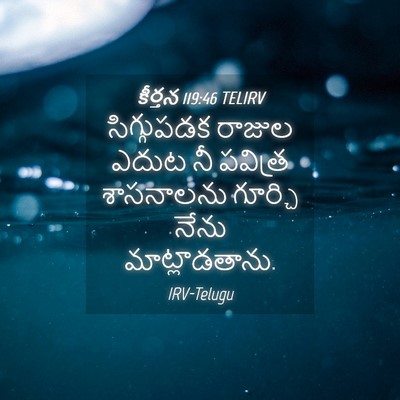 Picture 04 - కీర్తన 119:46 TELIRV - సిగ్గుపడక రాజుల - Bible Verse Picture