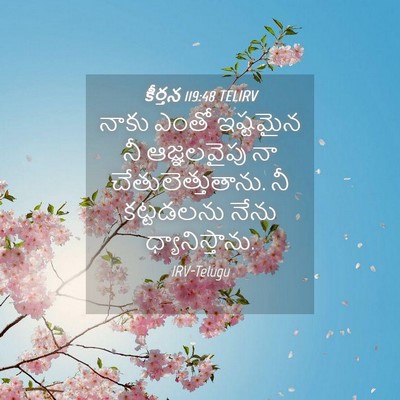 Picture 04 - కీర్తన 119:48 TELIRV - నాకు ఎంతో ఇష్టమైన - Bible Verse Picture