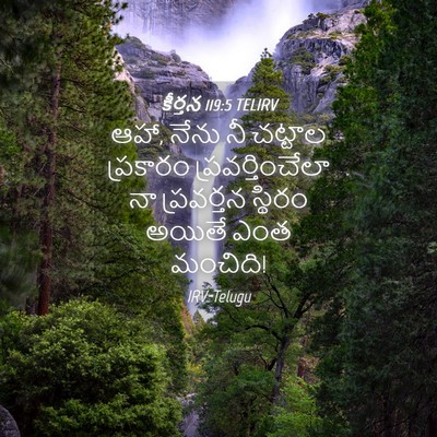 Picture 04 - కీర్తన 119:5 TELIRV - ఆహా, నేను నీ చట్టాల - Bible Verse Picture