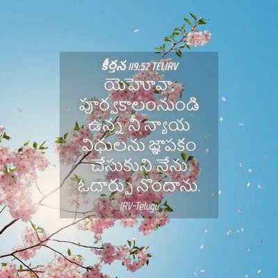 Picture 04 - కీర్తన 119:52 TELIRV - యెహోవా, - Bible Verse Picture
