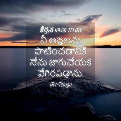 Picture 04 - కీర్తన 119:60 TELIRV - నీ ఆజ్ఞలను - Bible Verse Picture