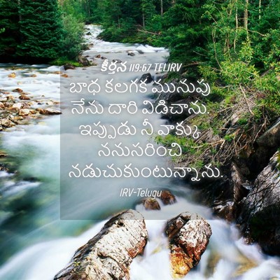 Picture 04 - కీర్తన 119:67 TELIRV - బాధ కలగక మునుపు - Bible Verse Picture
