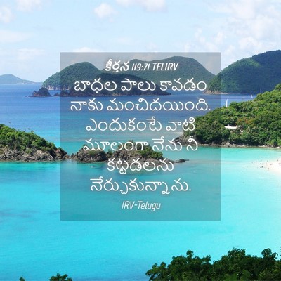 Picture 04 - కీర్తన 119:71 TELIRV - బాధల పాలు కావడం - Bible Verse Picture