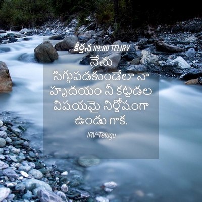 Picture 04 - కీర్తన 119:80 TELIRV - నేను - Bible Verse Picture
