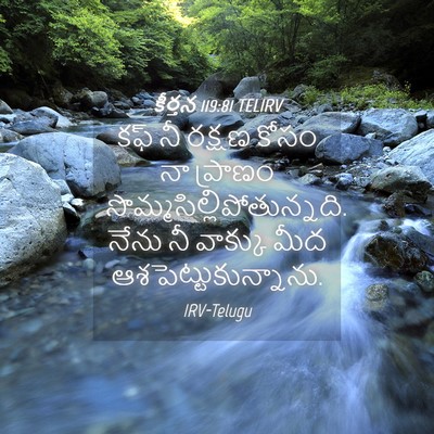 Picture 04 - కీర్తన 119:81 TELIRV - కఫ్‌ నీ రక్షణ కోసం - Bible Verse Picture