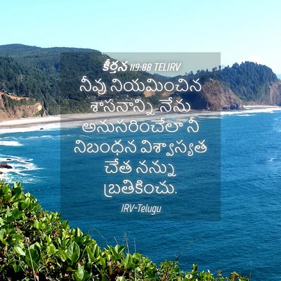 Picture 04 - కీర్తన 119:88 TELIRV - నీవు నియమించిన - Bible Verse Picture