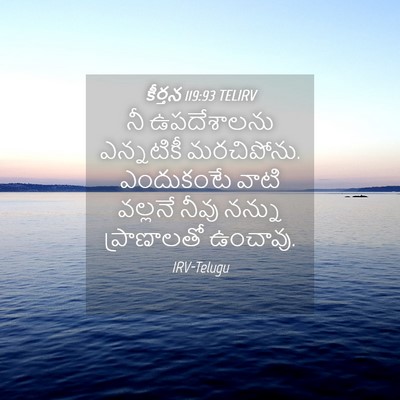 Picture 04 - కీర్తన 119:93 TELIRV - నీ ఉపదేశాలను - Bible Verse Picture