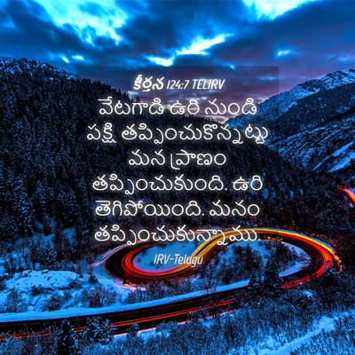 Picture 04 - కీర్తన 124:7 TELIRV - వేటగాడి ఉరి నుండి - Bible Verse Picture