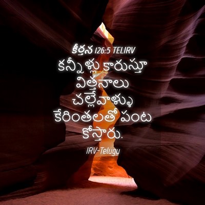 Picture 04 - కీర్తన 126:5 TELIRV - కన్నీళ్లు - Bible Verse Picture