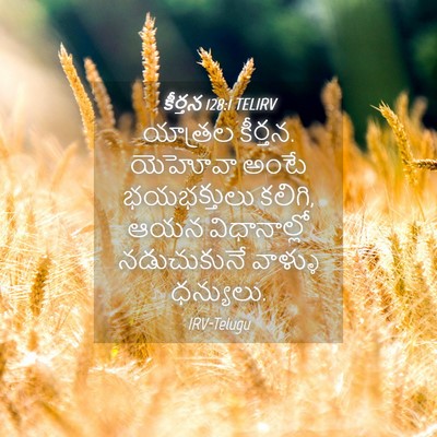 Picture 04 - కీర్తన 128:1 TELIRV - యాత్రల కీర్తన. - Bible Verse Picture