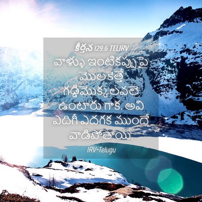 Picture 04 - కీర్తన 129:6 TELIRV - వాళ్ళు - Bible Verse Picture