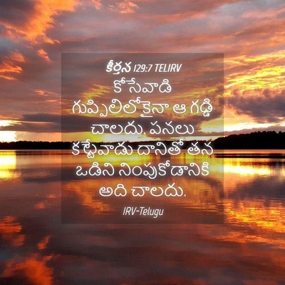Picture 04 - కీర్తన 129:7 TELIRV - కోసేవాడి - Bible Verse Picture