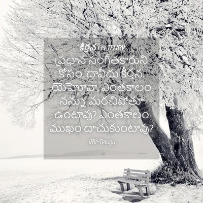 Picture 04 - కీర్తన 13:1 TELIRV - ప్రధాన - Bible Verse Picture