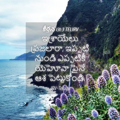 Picture 04 - కీర్తన 131:3 TELIRV - ఇశ్రాయేలు - Bible Verse Picture