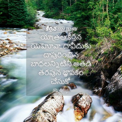 Picture 04 - కీర్తన 132:1 TELIRV - యాత్రల కీర్తన - Bible Verse Picture