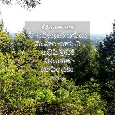 Picture 04 - కీర్తన 132:10 TELIRV - నీ సేవకుడైన - Bible Verse Picture
