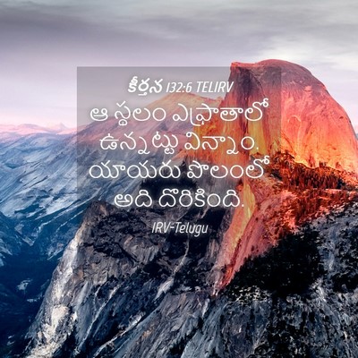 Picture 04 - కీర్తన 132:6 TELIRV - ఆ స్థలం ఎఫ్రాతాలో - Bible Verse Picture