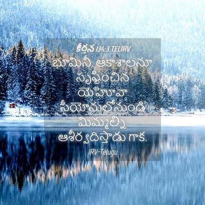 Picture 04 - కీర్తన 134:3 TELIRV - భూమినీ, ఆకాశాలనూ - Bible Verse Picture