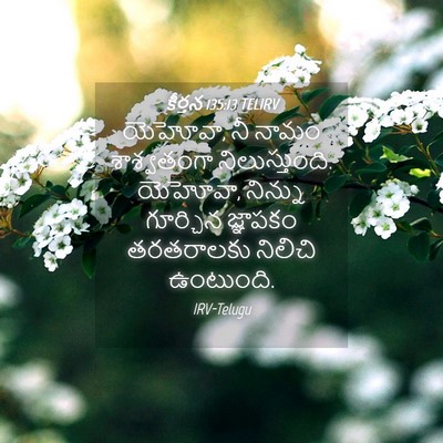 Picture 04 - కీర్తన 135:13 TELIRV - యెహోవా, నీ నామం - Bible Verse Picture