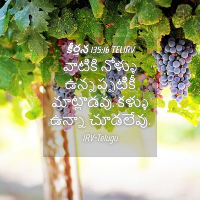 Picture 04 - కీర్తన 135:16 TELIRV - వాటికి నోళ్ళు - Bible Verse Picture