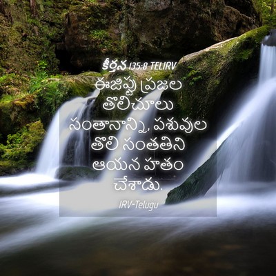 Picture 04 - కీర్తన 135:8 TELIRV - ఈజిప్టు ప్రజల - Bible Verse Picture