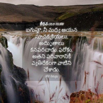 Picture 04 - కీర్తన 135:9 TELIRV - ఐగుప్తూ, నీ మధ్య - Bible Verse Picture