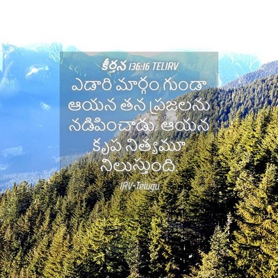 Picture 04 - కీర్తన 136:16 TELIRV - ఎడారి మార్గం - Bible Verse Picture