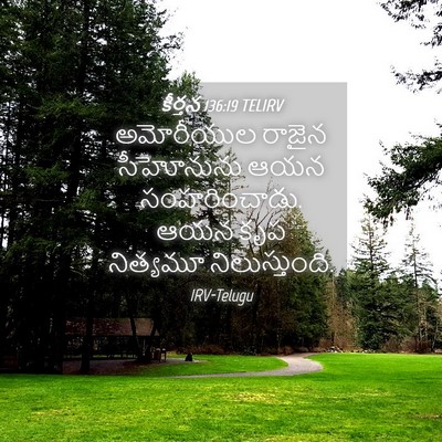 Picture 04 - కీర్తన 136:19 TELIRV - అమోరీయుల రాజైన - Bible Verse Picture
