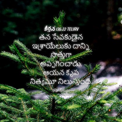 Picture 04 - కీర్తన 136:22 TELIRV - తన సేవకుడైన - Bible Verse Picture