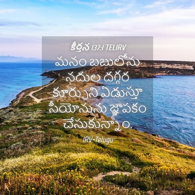 Picture 04 - కీర్తన 137:1 TELIRV - మనం బబులోను నదుల - Bible Verse Picture