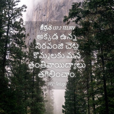 Picture 04 - కీర్తన 137:2 TELIRV - అక్కడ ఉన్న - Bible Verse Picture
