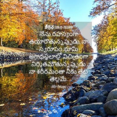 Picture 04 - కీర్తన 139:15 TELIRV - నేను రహస్యంగా - Bible Verse Picture