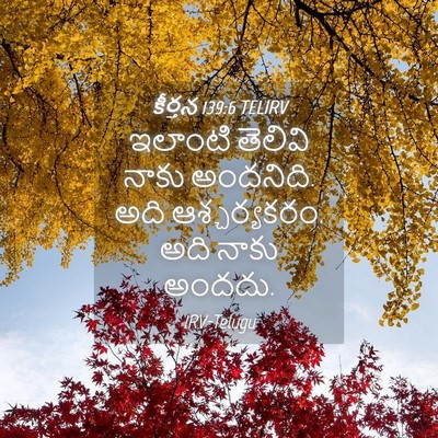 Picture 04 - కీర్తన 139:6 TELIRV - ఇలాంటి తెలివి - Bible Verse Picture