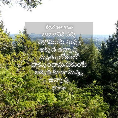 Picture 04 - కీర్తన 139:8 TELIRV - ఆకాశానికి ఎక్కి - Bible Verse Picture