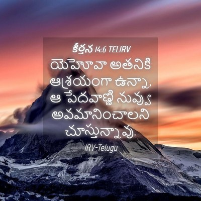 Picture 04 - కీర్తన 14:6 TELIRV - యెహోవా అతనికి - Bible Verse Picture