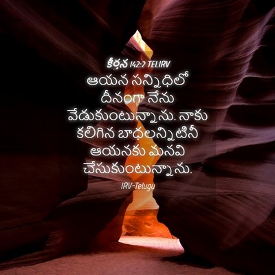 Picture 04 - కీర్తన 142:2 TELIRV - ఆయన సన్నిధిలో - Bible Verse Picture