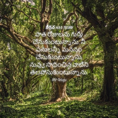 Picture 04 - కీర్తన 143:5 TELIRV - పాత రోజులను - Bible Verse Picture