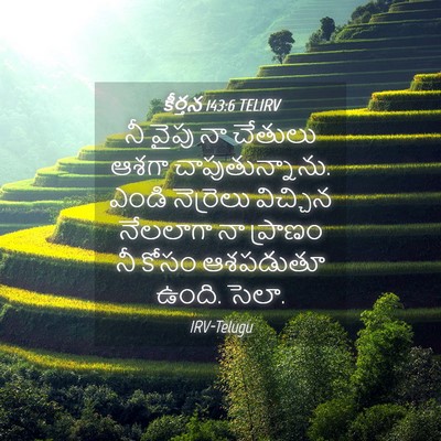 Picture 04 - కీర్తన 143:6 TELIRV - నీ వైపు నా చేతులు - Bible Verse Picture