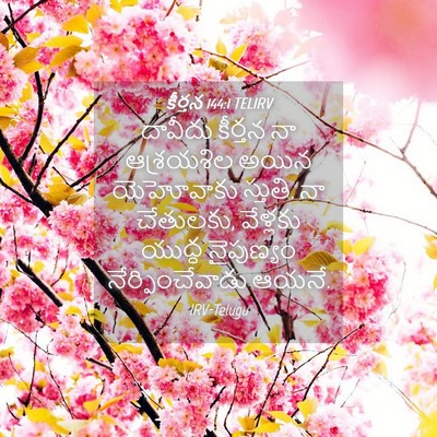 Picture 04 - కీర్తన 144:1 TELIRV - దావీదు కీర్తన నా - Bible Verse Picture
