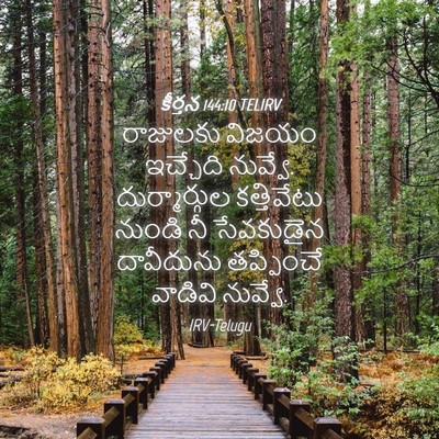 Picture 04 - కీర్తన 144:10 TELIRV - రాజులకు విజయం - Bible Verse Picture