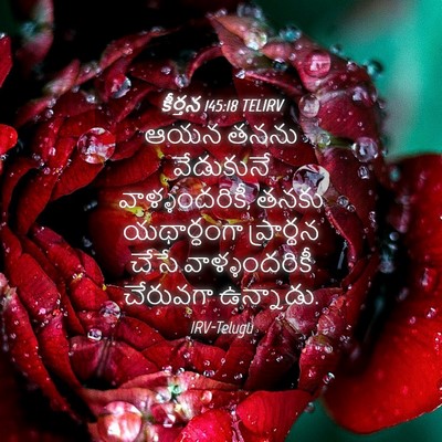 Picture 04 - కీర్తన 145:18 TELIRV - ఆయన తనను వేడుకునే - Bible Verse Picture