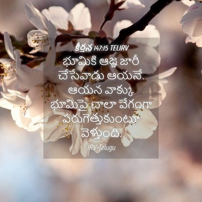 Picture 04 - కీర్తన 147:15 TELIRV - భూమికి ఆజ్ఞ జారీ - Bible Verse Picture