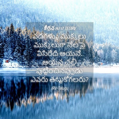 Picture 04 - కీర్తన 147:17 TELIRV - వడగళ్ళు ముక్కలు - Bible Verse Picture