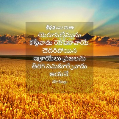 Picture 04 - కీర్తన 147:2 TELIRV - యెరూషలేమును - Bible Verse Picture