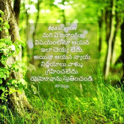 Picture 04 - కీర్తన 147:20 TELIRV - మరి ఏ జనాంగం - Bible Verse Picture