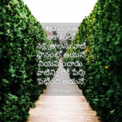 Picture 04 - కీర్తన 147:4 TELIRV - ఆకాశంలో - Bible Verse Picture