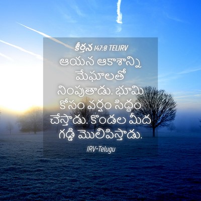 Picture 04 - కీర్తన 147:8 TELIRV - ఆయన ఆకాశాన్ని - Bible Verse Picture