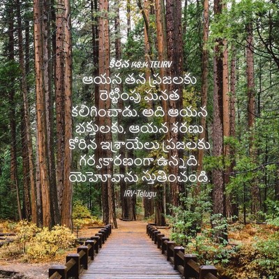 Picture 04 - కీర్తన 148:14 TELIRV - ఆయన తన ప్రజలకు - Bible Verse Picture