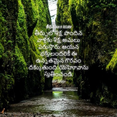 Picture 04 - కీర్తన 149:9 TELIRV - తీర్పులో శిక్ష - Bible Verse Picture